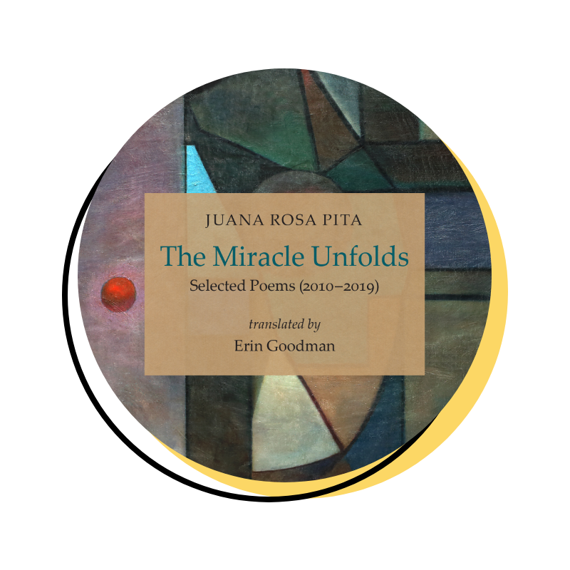 Read more about the article Book review of <i>The Miracle Unfolds</i>